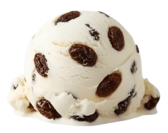 Rum Raisin